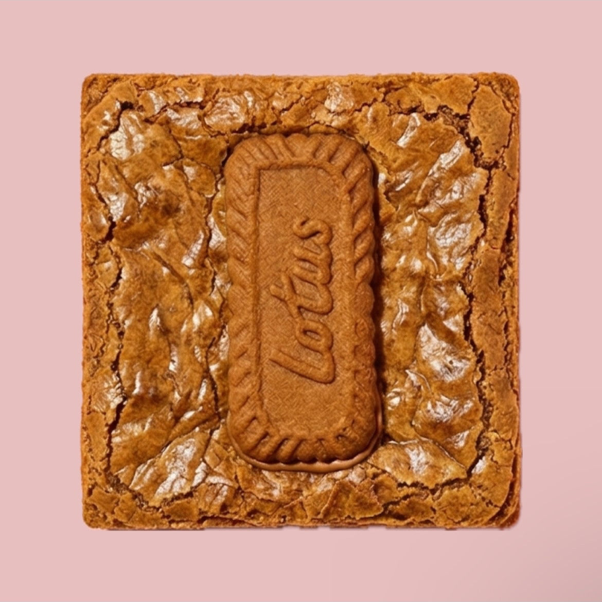 blondie biscoff